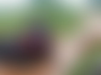 Prefeito Enfrenta chuva e atoleiros para ver de perto situações de ramais em Epitaciolândia