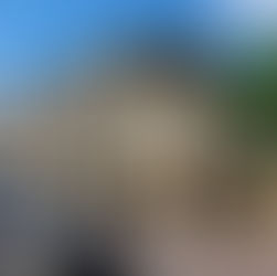 A view of Northumberland Hall, Alnwick, from the south