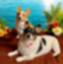 Resized_Photoroom-20241029_173442_1730237707065.png