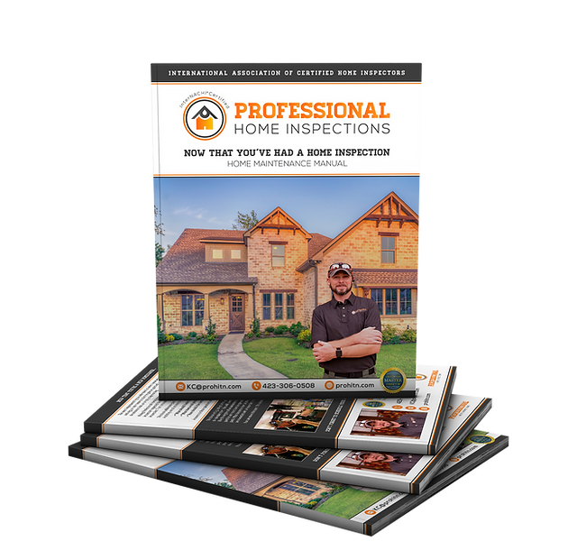 Professional Home Inspections (4).png