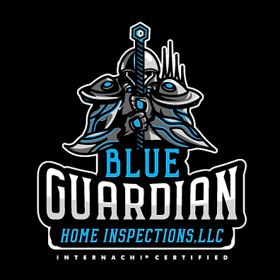 BlueGuardianHomeInspectionLLC.png