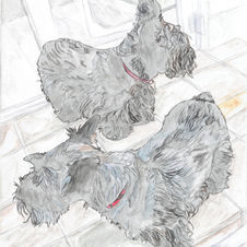 Two dogs coloured.jpeg