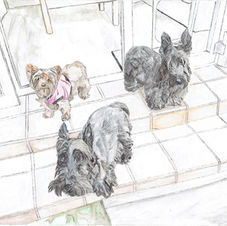 Three dogs coloured.jpeg