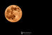 Luna Llena