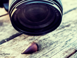 Fotografías en Macro