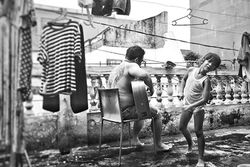 singin in the sun - silviana tahalea