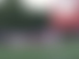 Dragons Roar on Homecoming: New Palestine Crushes Shelbyville 65–3