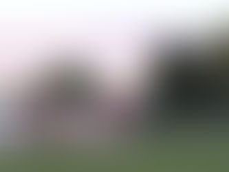 Dragons Unleash 70–0 Rout: Team Effort Leads New Palestine Statement Win Over New Castle