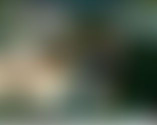 Building Sustainable Creative Careers: Why taking a Pause Matters