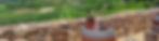 Copy of Almenkerk banner_edited.jpg
