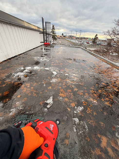 unclogging roof drain.JPG