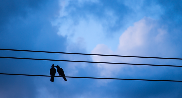 Untitled (Medium Banner (US) (Landscape)) (2).png