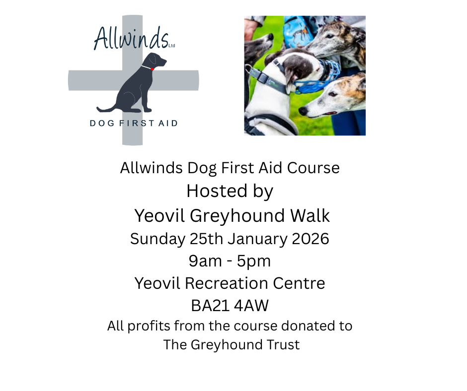 Allwinds Dog First Aid - Yeovil - Hosted by Yeovil Greyhound Walk