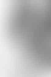 Romantic destination wedding at San José Lavista in San Miguel de Allende with a Galia Lahav gown, cathedral ceremony, sunset cocktail hour, and heartfelt moments captured by Regina Malo.