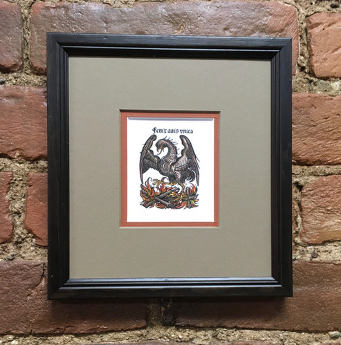 VIRAMONTES アートブック Fenix Avis Unica | replicaprints