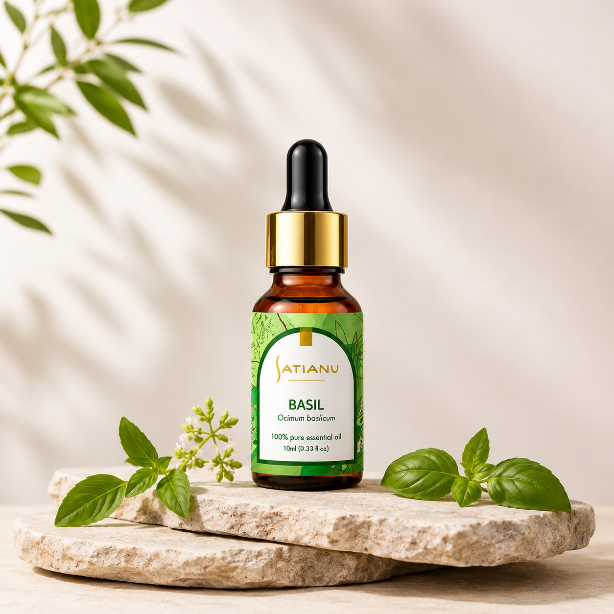 Basil Essential Oil - Ocimum basilicum