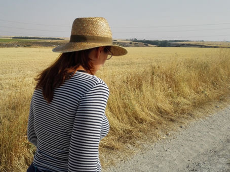 La carrera profesional como JURISTA y/o ABOGADO que elijes