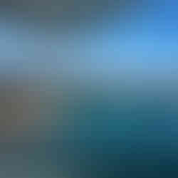 Cape Point nature reserve - cape peninsula scenic flight with africa sky runners