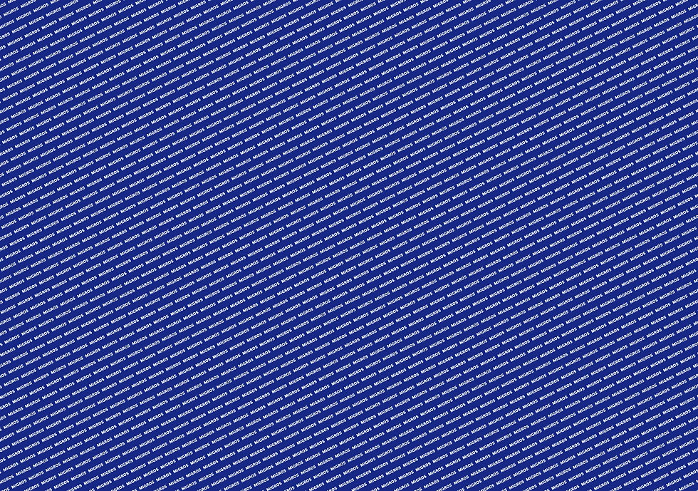 RZ_M_Budget_Hintergrund_blau.png