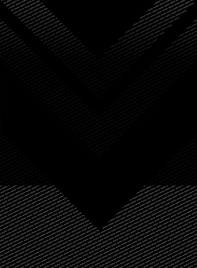RZ_M_Budget_HG_SW_02-04.png