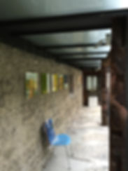 IMG_1667.jpeg