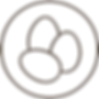 Farm Fresh Eggs Icon