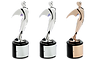 3TELLY AWARD WINNER JOYA KAZI_edited.png