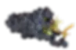포도