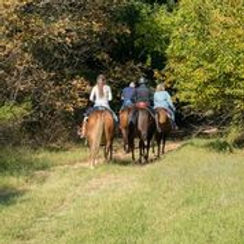 riding the trails at Four Winds Ranch