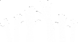 Volunteer