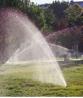 riegos jardin
