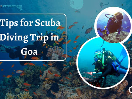 Dive Safely,Dive Joyfully: Ultimate Guide to Scuba Diving Adventure Goa