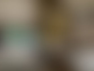 Persianas para el calor en Mérida: ¿cuáles son las mejores?