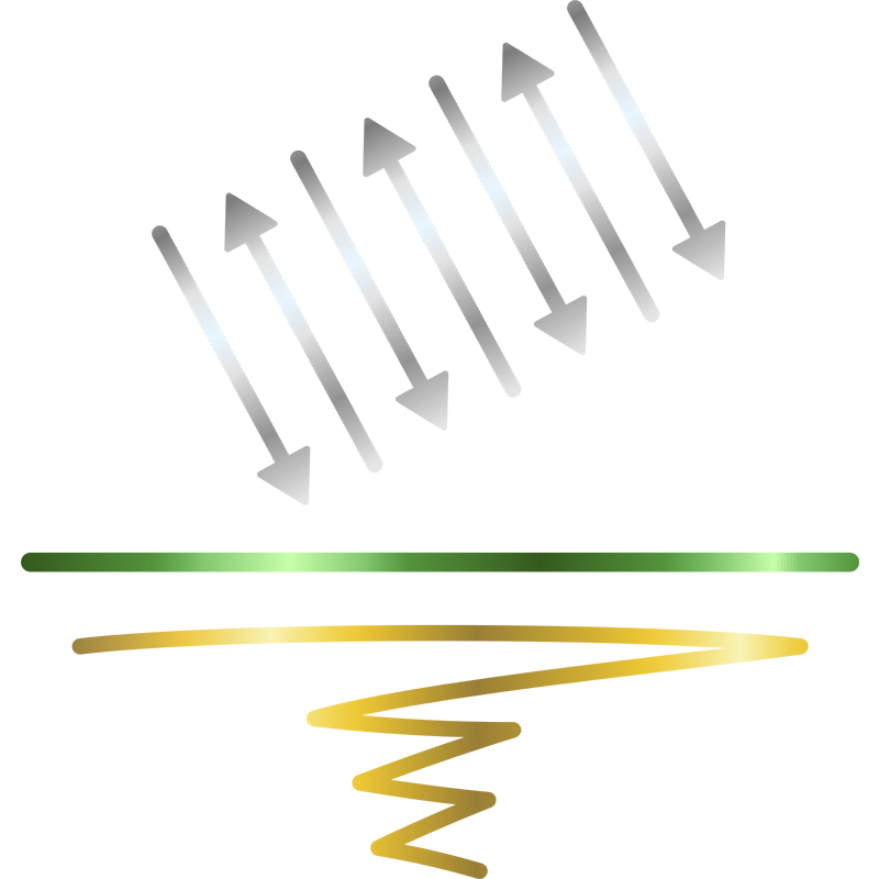 GMO (Transgênicos)