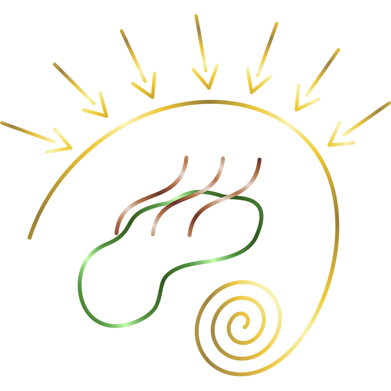 Glomerulonefrite