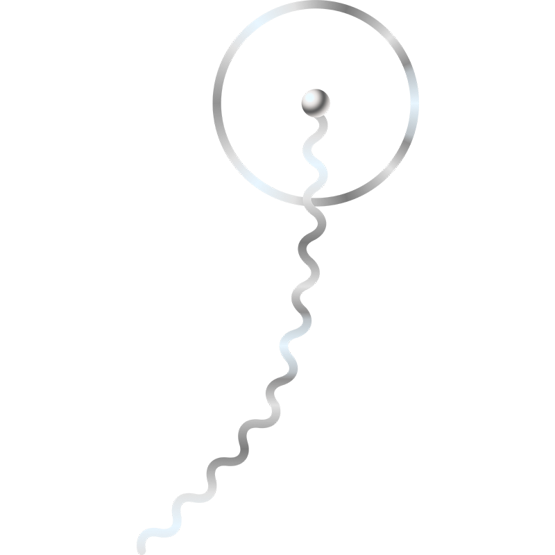 Equilíbrio das Energias