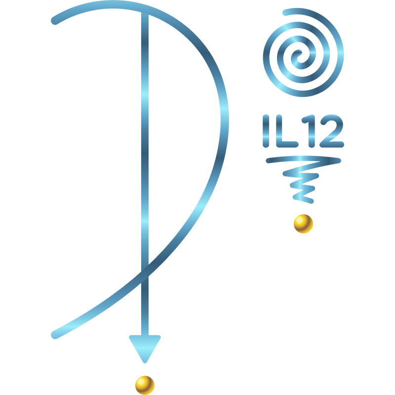 CONSAGRAÇÃO - IL12 (SALA IL12)