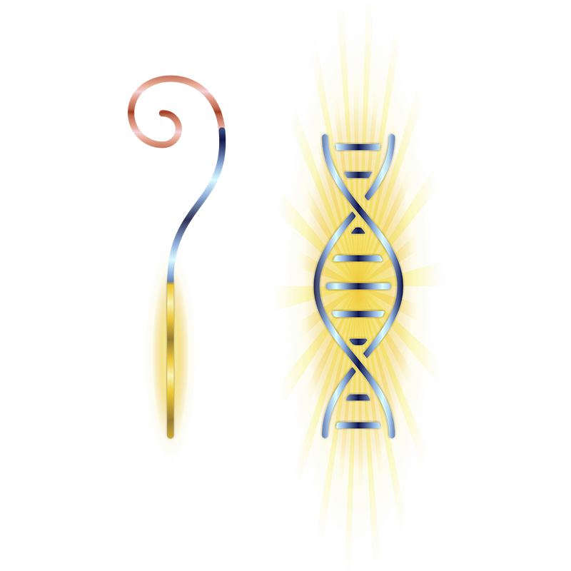 Atualização do DNA