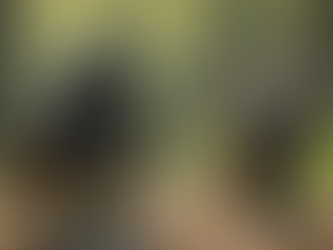 Top Designs for 3D-Printed Miniatures