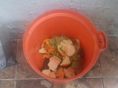 Compostagem caseira