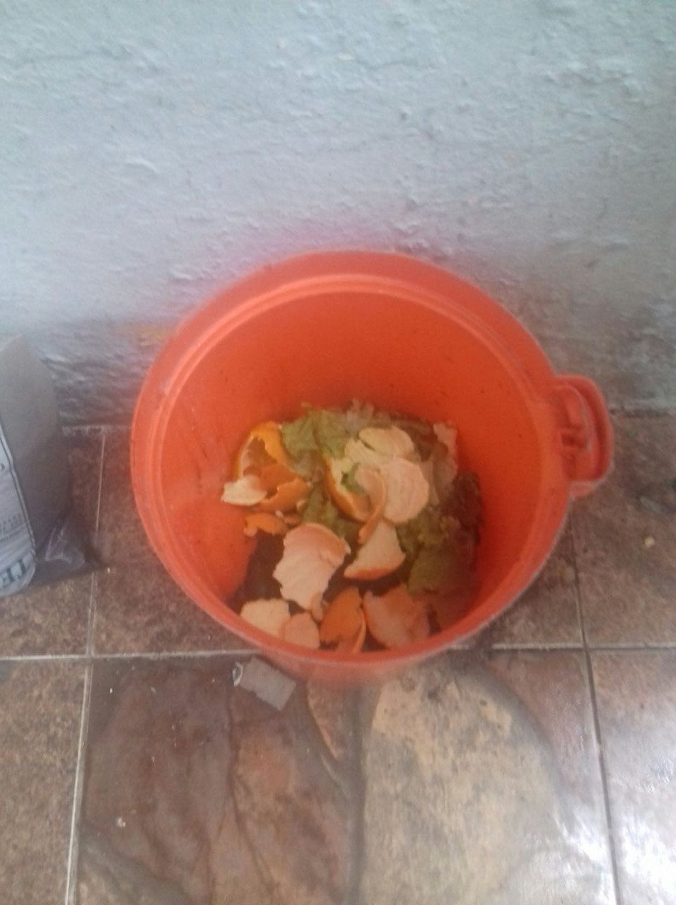 Compostagem
