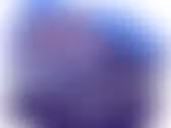 Edmund Fitzgerald Memorial Swim