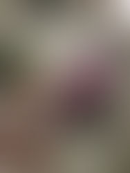 Vacation Inspiration