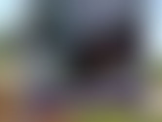 Don’t Miss…The Chocolate Garden