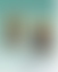 New pattern: Genesis Too™ now available…