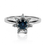 Miniatura: Flower - Diamonds & Sapphire