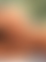 Le massage à domicile est bon pour vous Pourquoi ?