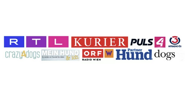 Mini Kurs Thumbmail Bild (19) - Kopie.png