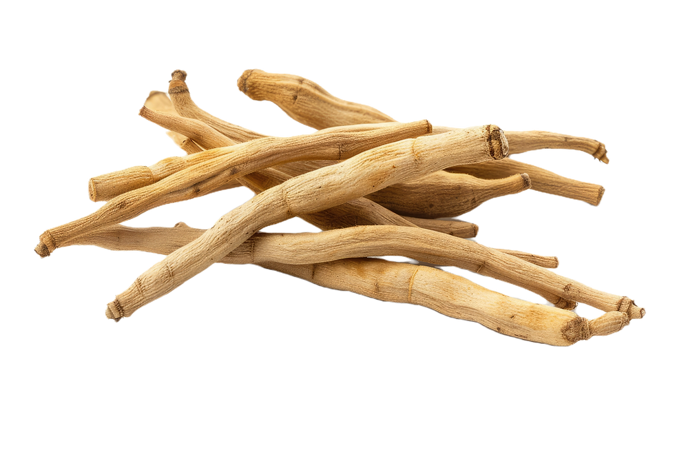 close-up-view-ashwagandha-withania-somnifera-fruits-white-background_edited.png