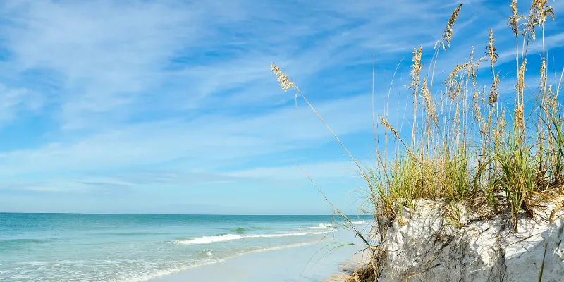 Forecasting Mortgage Rates In Florida